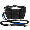 Black Blue Dog Leash