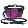 Purple Blue Dog Leash