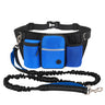 Sky Blue Blue Dog Leash
