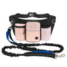 Light Pink Blue Dog Leash