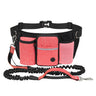 Coral Orange Dog Leash