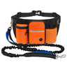 Orange And Blue Dog Leash
