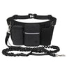 Black Black Dog Leash