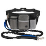 Gray Blue Dog Leash